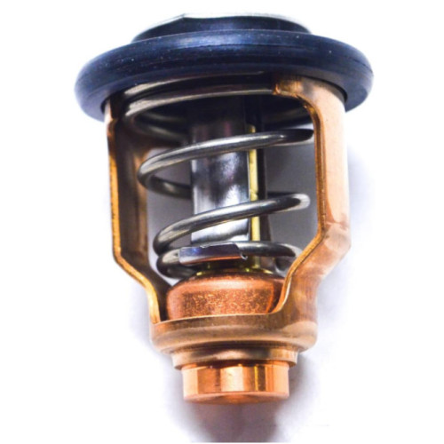 Thermostat Suzuki DF70