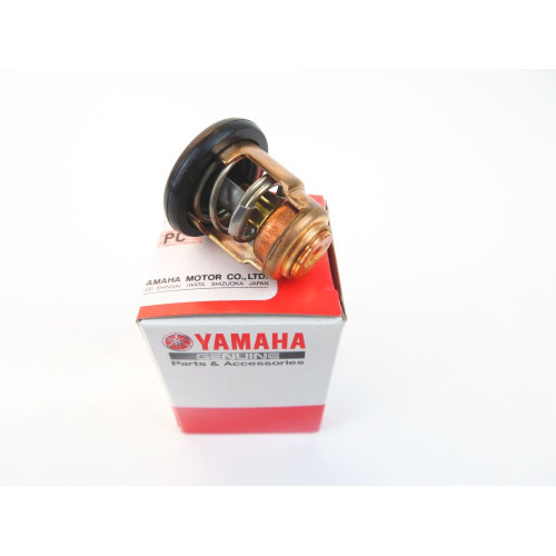 Termostat Yamaha F60